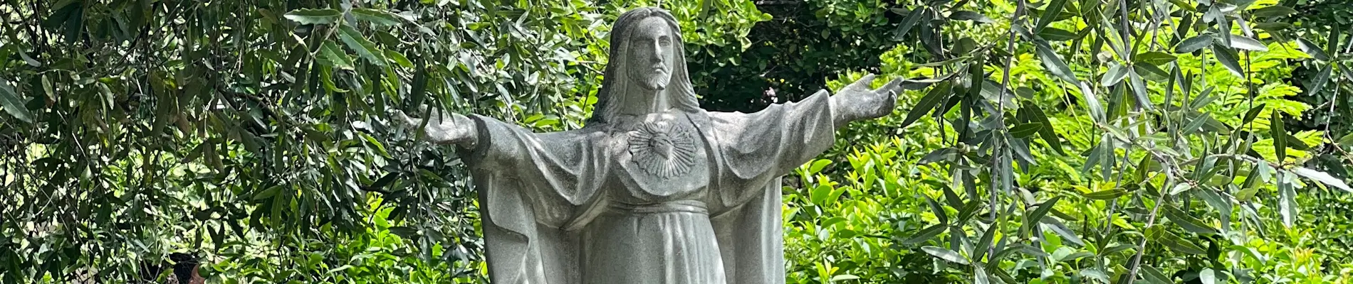 Pasillo con abundantes plantas y una estatua de la virgen al fondo