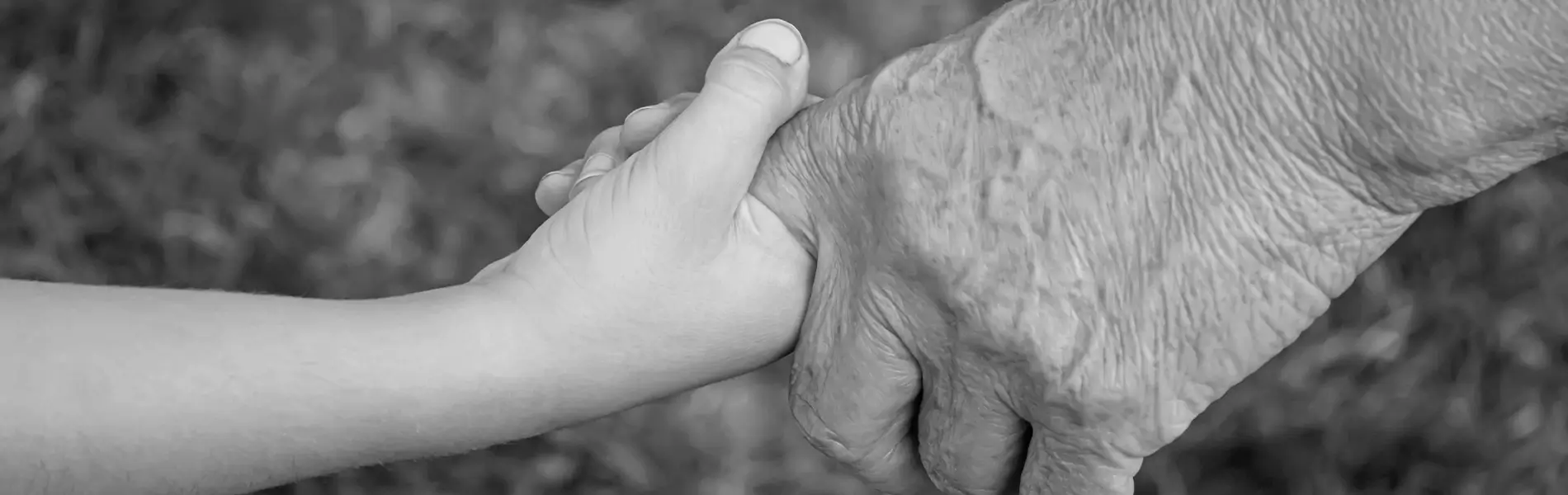 Niño tomando la mano de un adulto