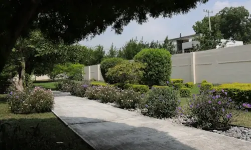Pasillo de jardin en el asilo