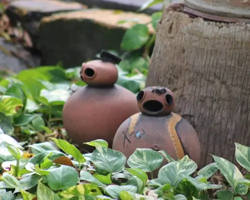 Urnas decorativas en áreas verdes de la casa de reposo