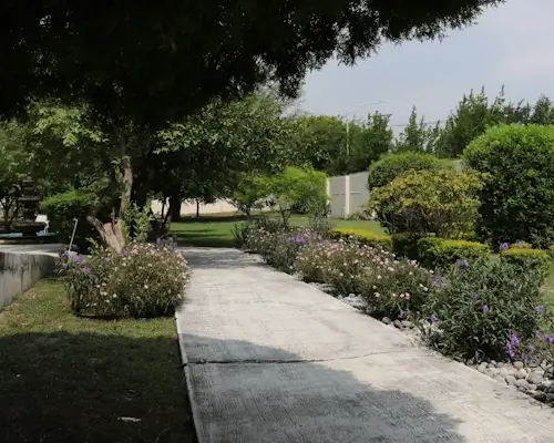 Pasillo del jardín del asilo
